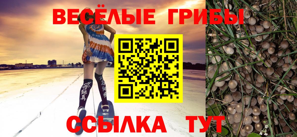 Коряжма  Псилоцибиновые грибы мицелий  Вход с VPN  Псилоцибиновые грибы ЛСД 